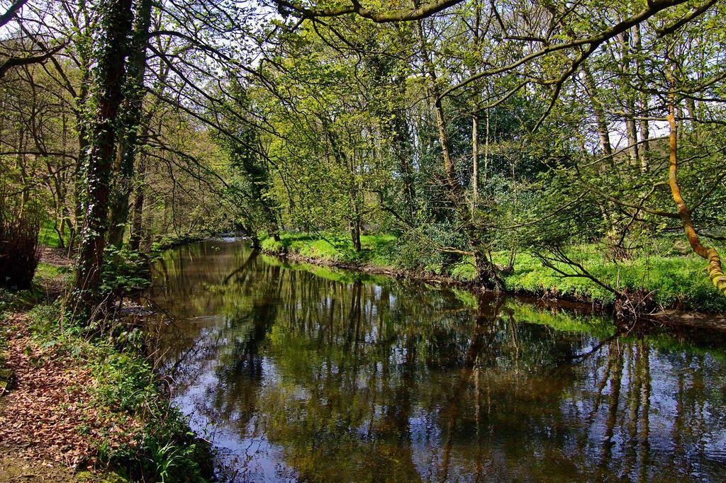 Wortley Cottage Guest House 3* Wortley
