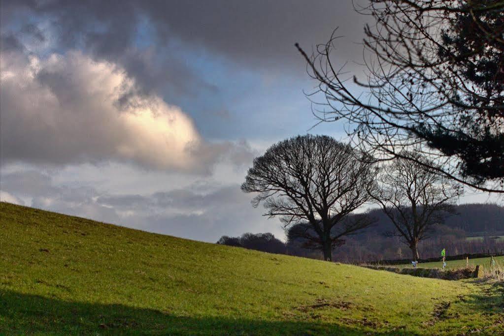 Wortley Cottage Guest House 3*